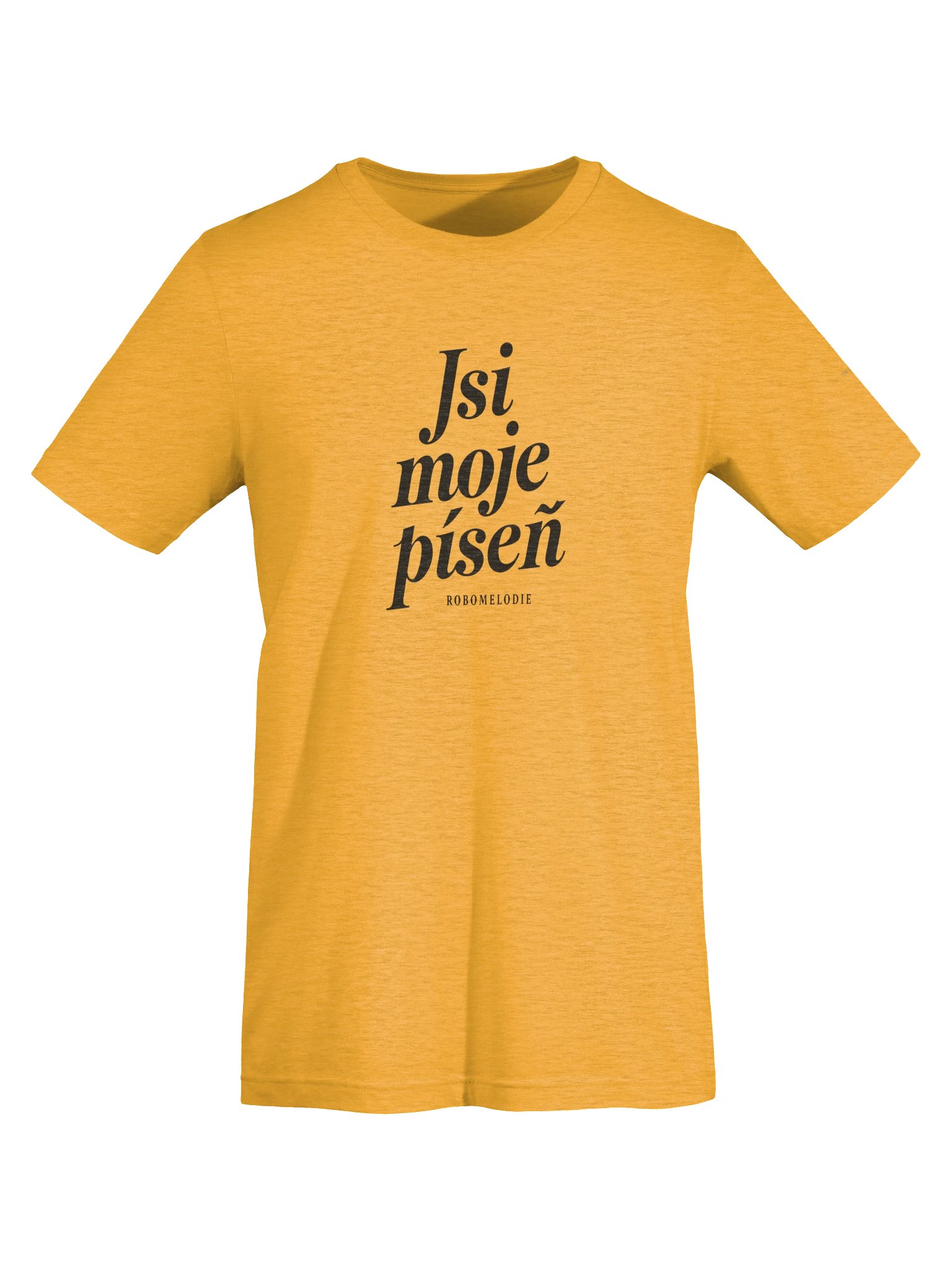 Jsi moje píseň product image (55)
