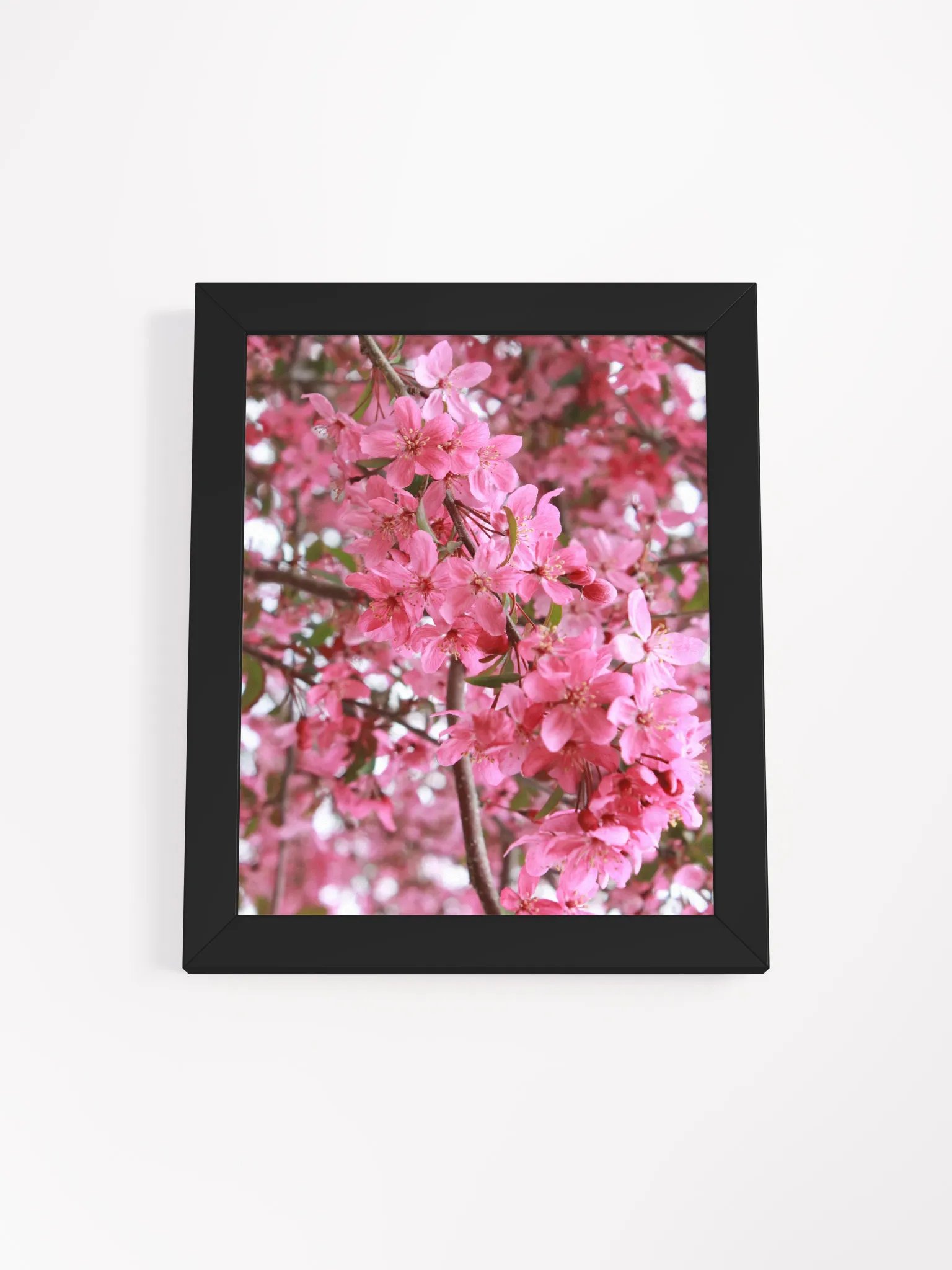 Pink Flowers product image (1)