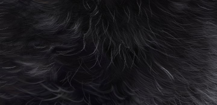 Digital file: Oreo the Labradoodle product image (2)