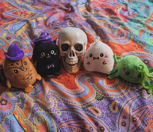 the cute spoopy guys i acquired today 🧡🦉🐈‍⬛💀👻🕷️🧡
.
.
.
.
.
#spookyseason #halloweenvibes #cutestuff