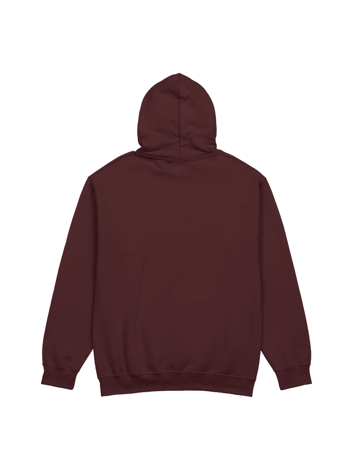 The Rail Fans Canada Classic Hoodie product image (8)