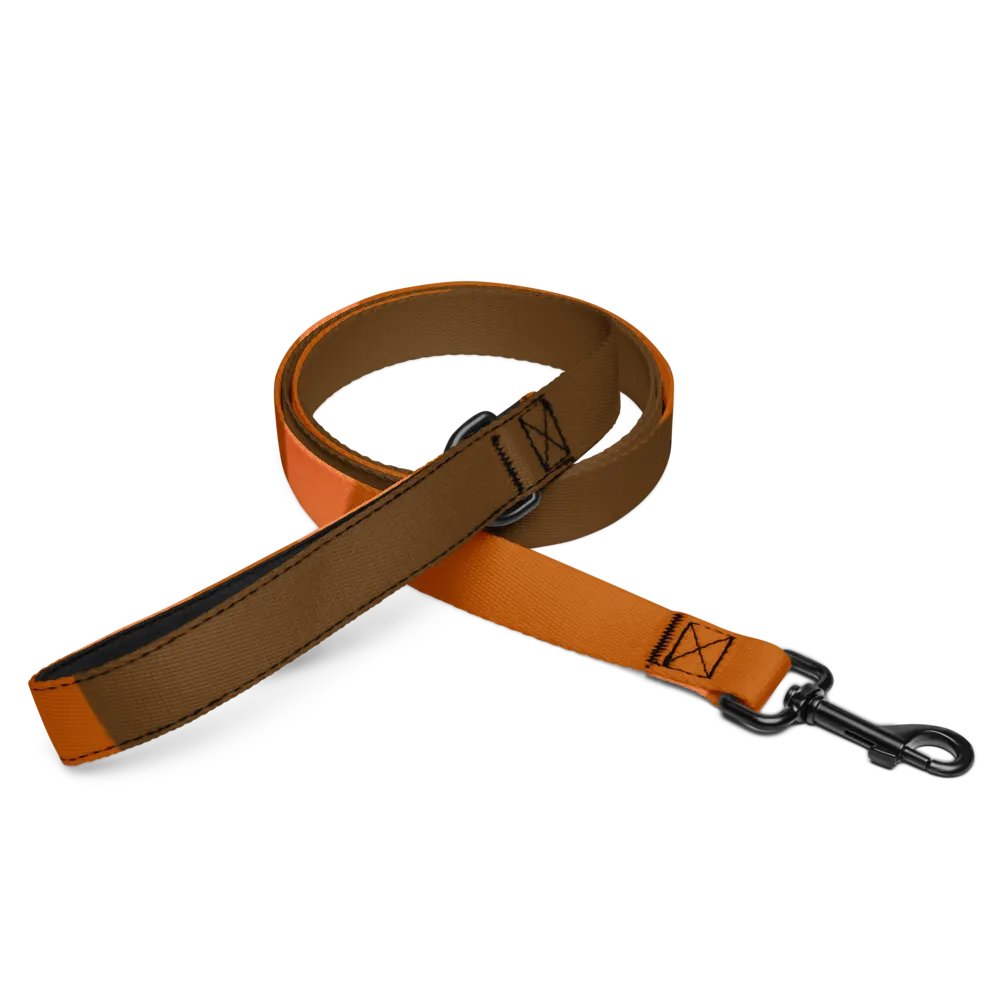 Orange Custom Pet Leash product image (2)