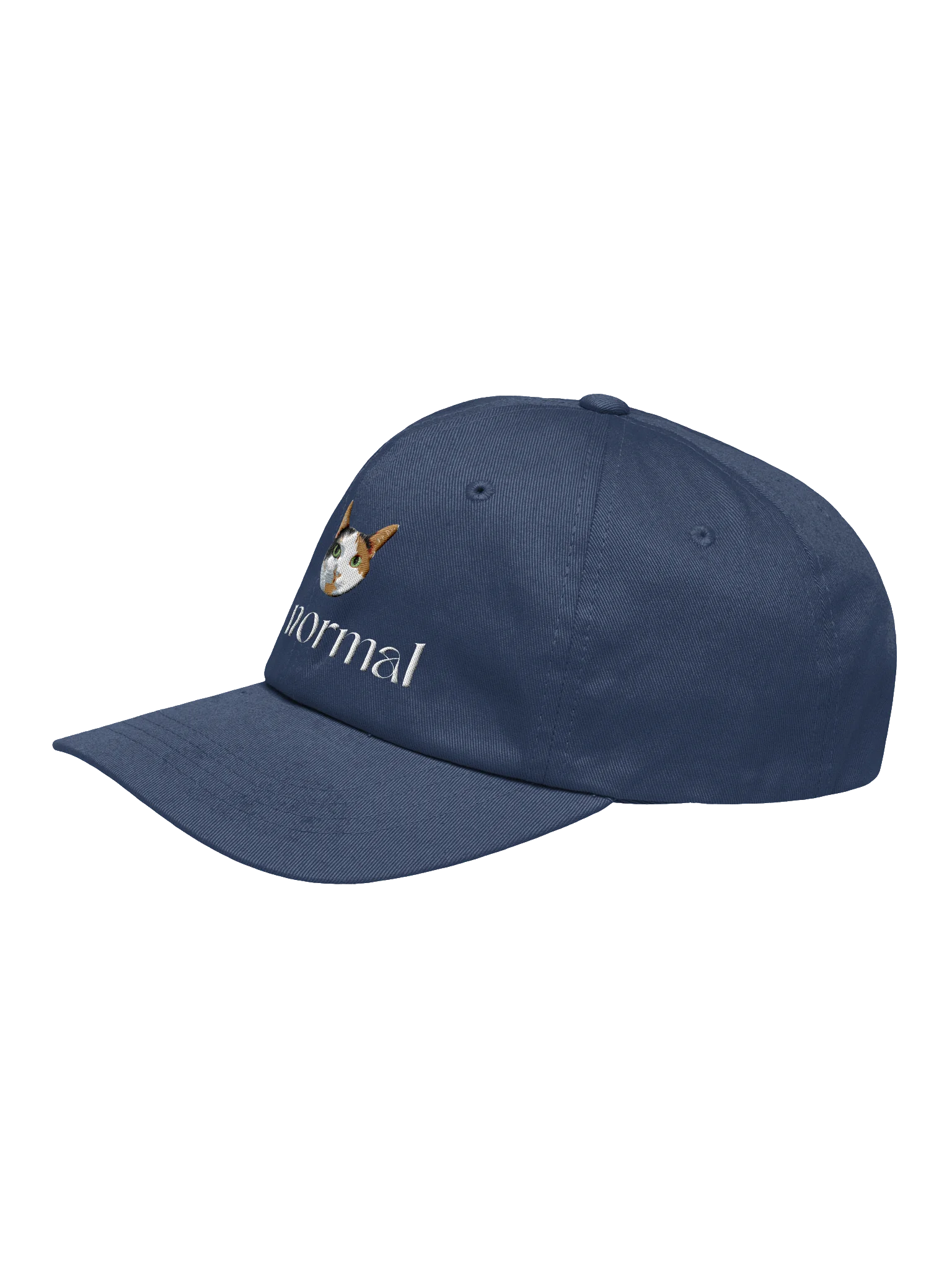 Be Normal Dad Cap product image (19)