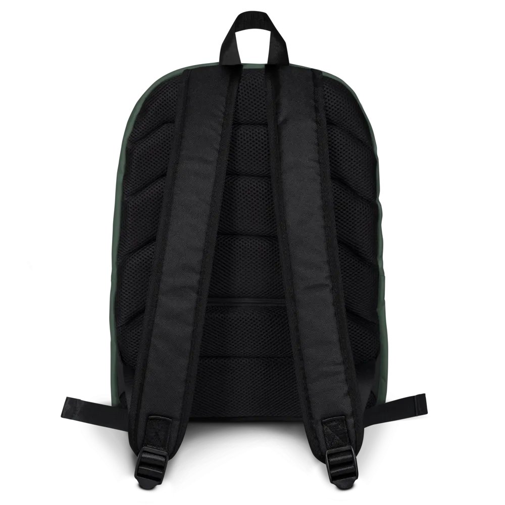 Chicago & Southern - C&S Constellations - Backpack product image (4)