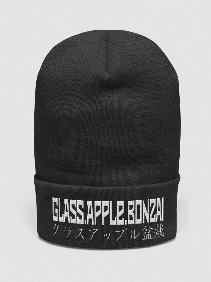 Glass Apple Beanie! product image (1)