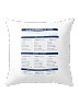 Spanish Regular -IR Verbs Conjugation Pillow