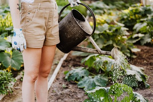 Extreme heat can be brutal on gardens 🌡️🌱
If your plants are wilting, soil is drying out fast, or you’re unsure whether to wa...