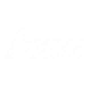 Axon