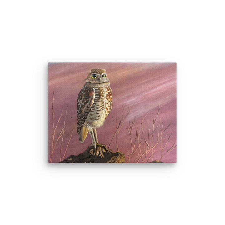 Burrowing Owl — Canvas Print product image (2)