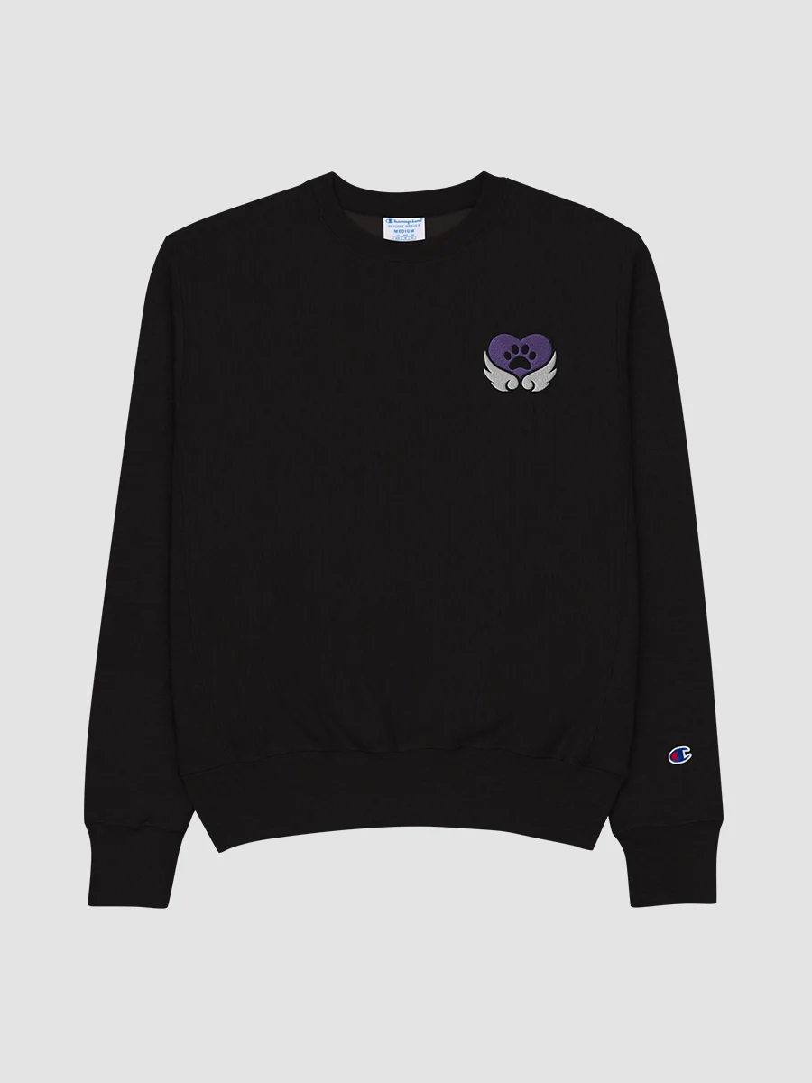Premium Champion Brand Sweatshirt product image (1)