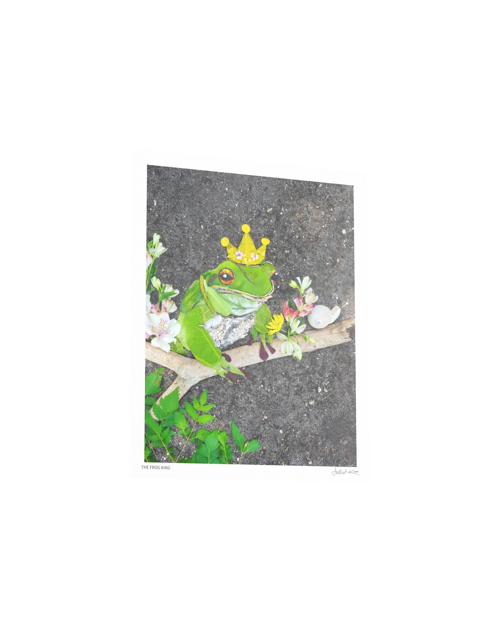 THE FROG KING | Nature Art Print product image (4)