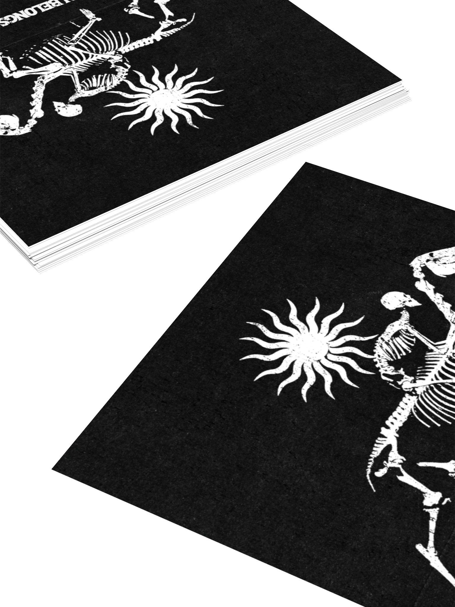 THE SUN BELONGS TO US LOGO STICKER product image (11)