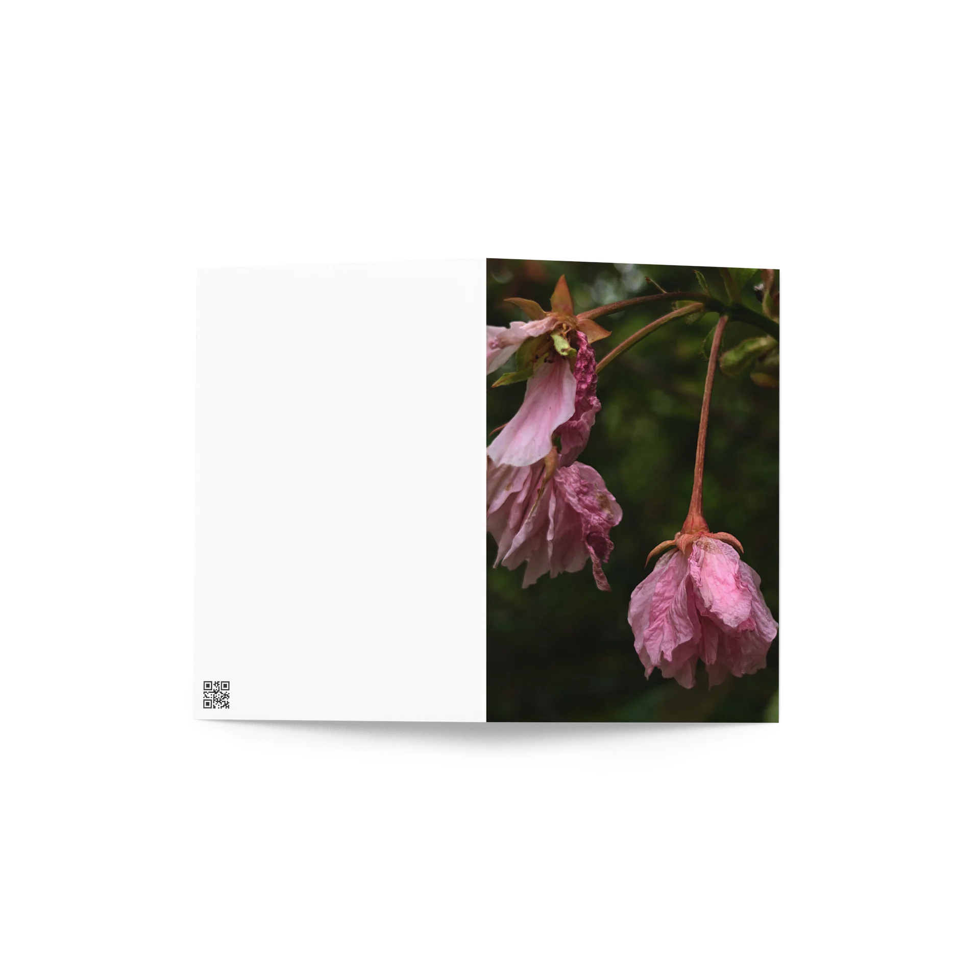 wilted cherry — from "holding" | art print | eza | casa de karma product image (2)