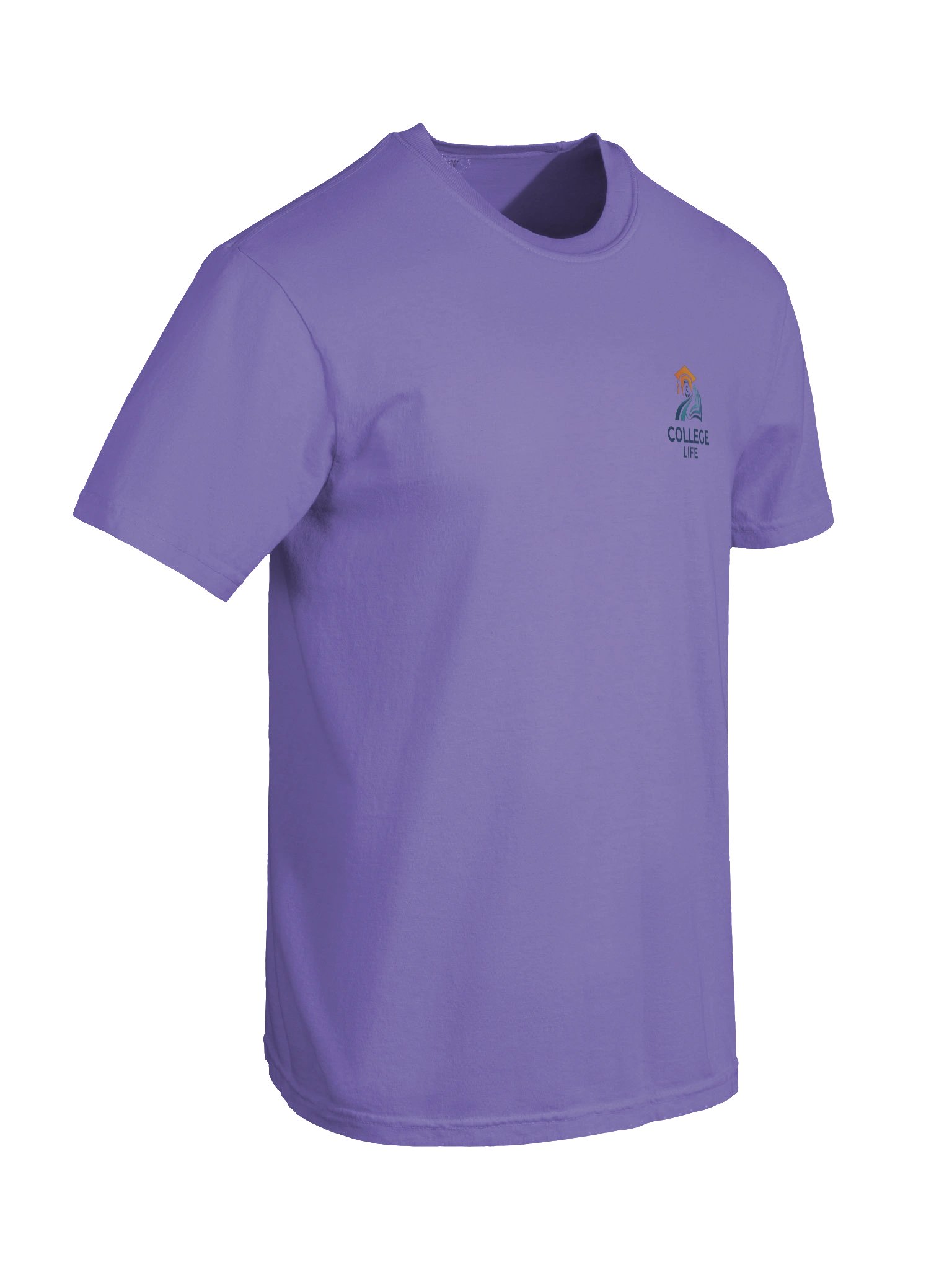 I came for the rewards T-shirt product image (72)