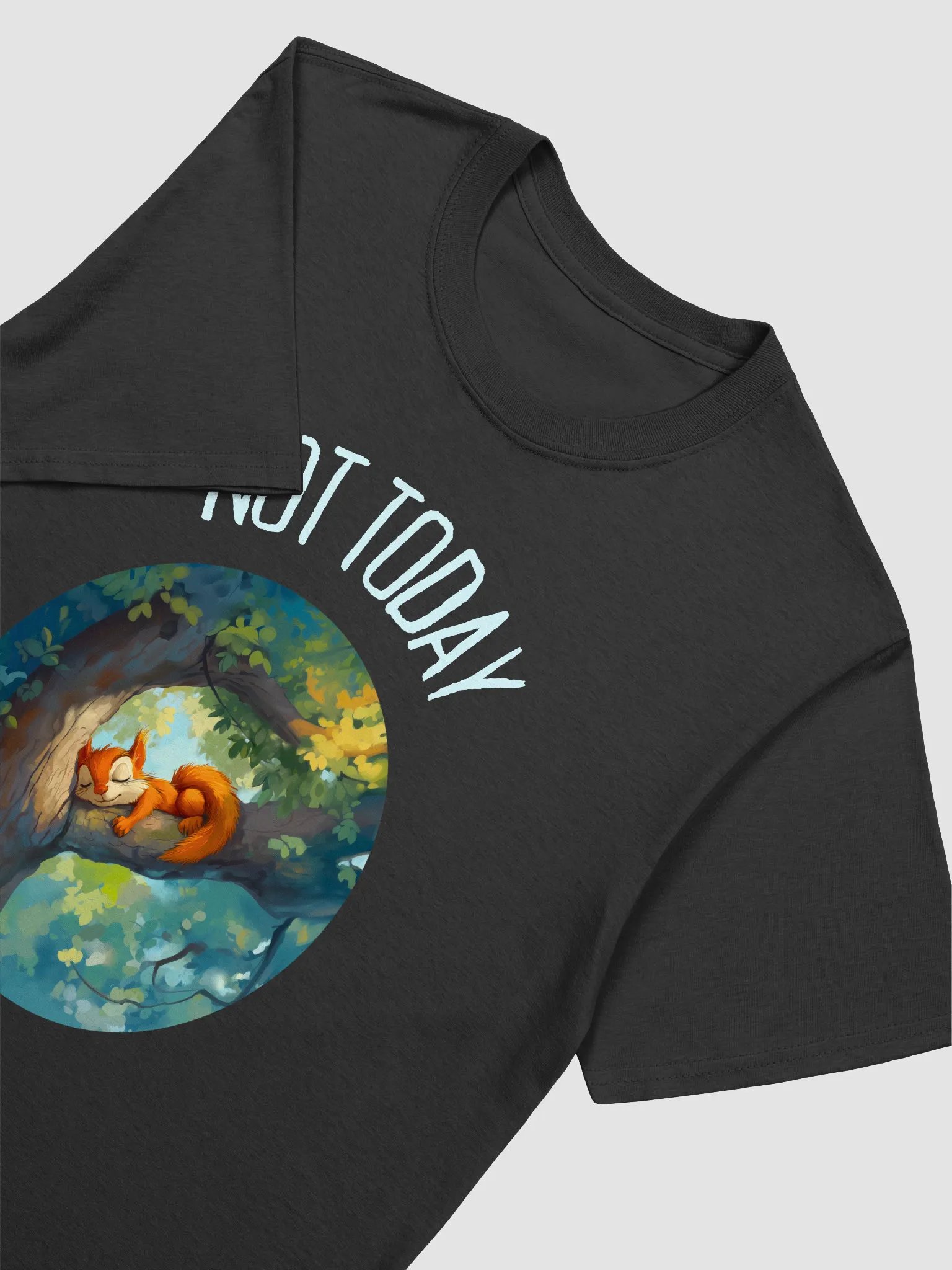 T24013 Not Today product image (3)