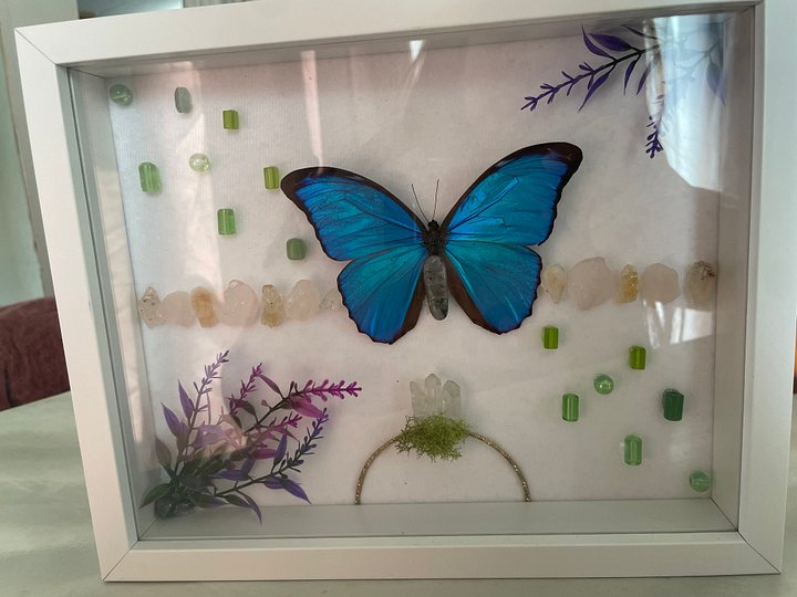 Blue Morpho Meadow Shadowbox product image (2)