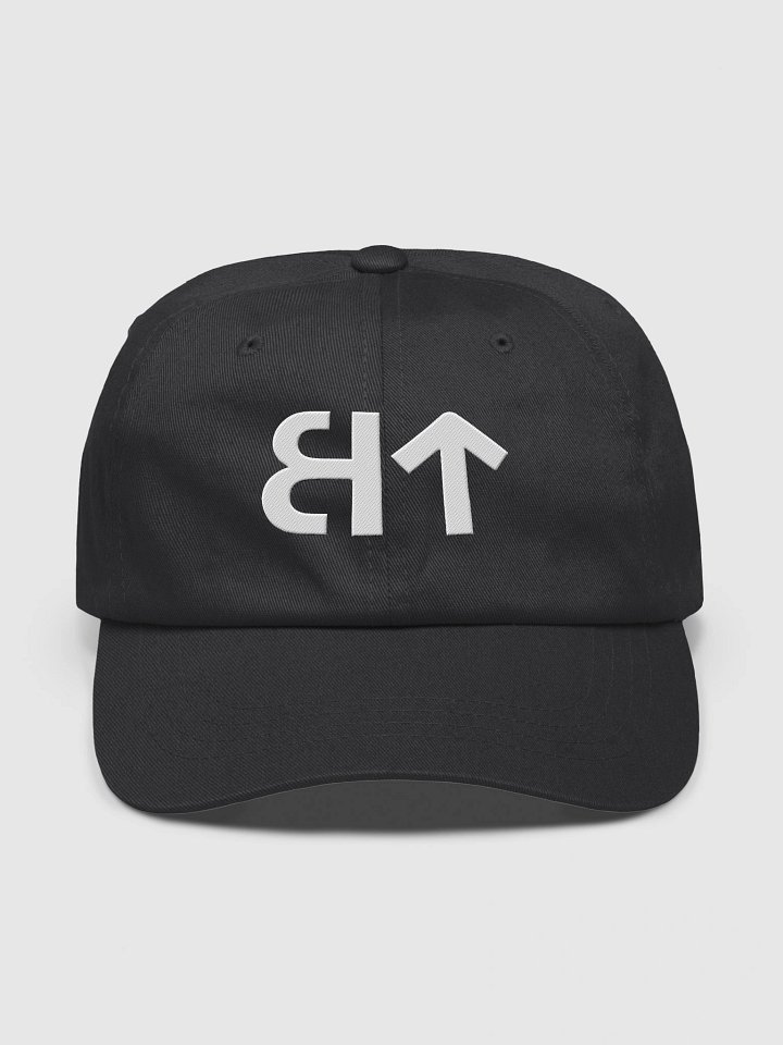 BT Logo Hat product image (2)