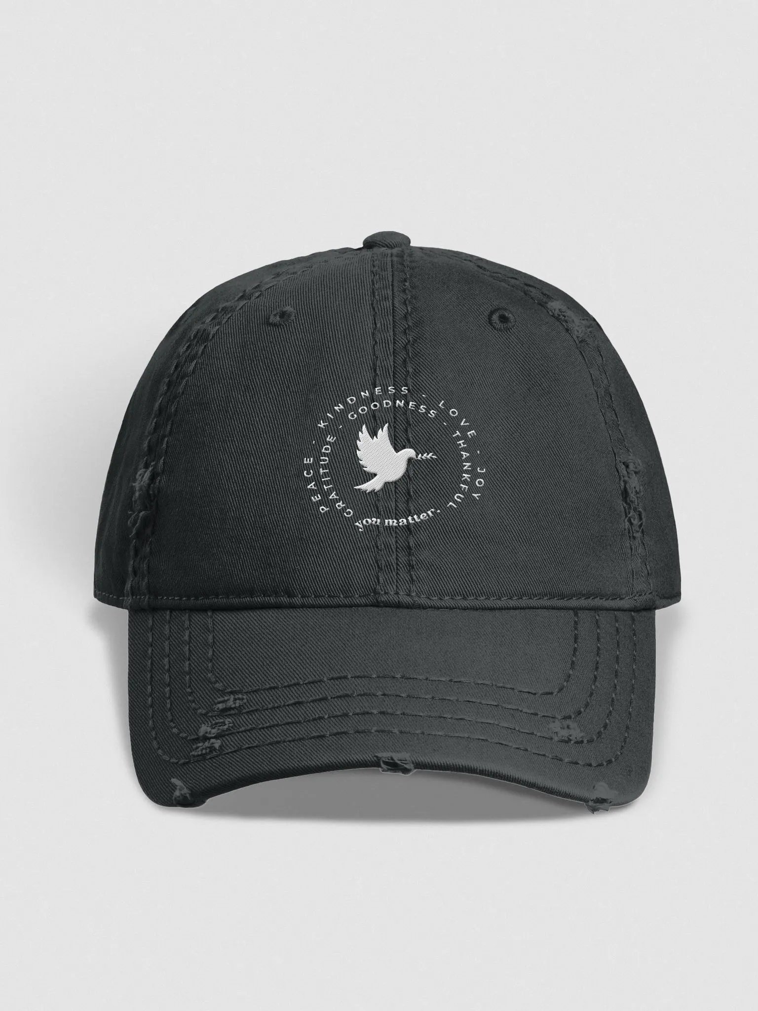 Distressed Dad Hat product image (1)