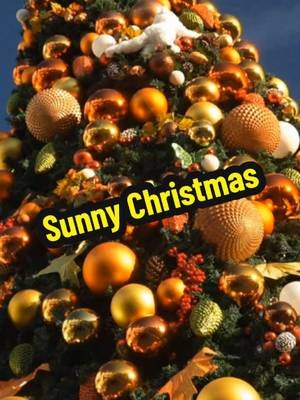 A giant Christmas tree in 25°C sunshine hits different 🎄☀️ Would you trade snow for the beach? #Lanzarote #Christmas #CanaryIslands #BiosferaPlaza #HolidayVibes