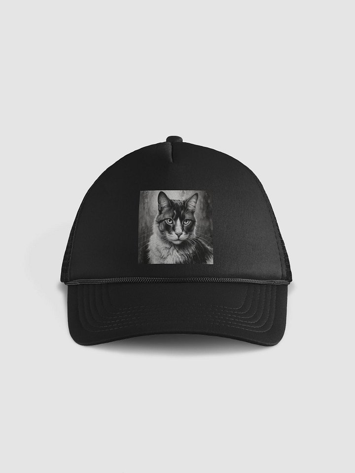 Cat product image (1)