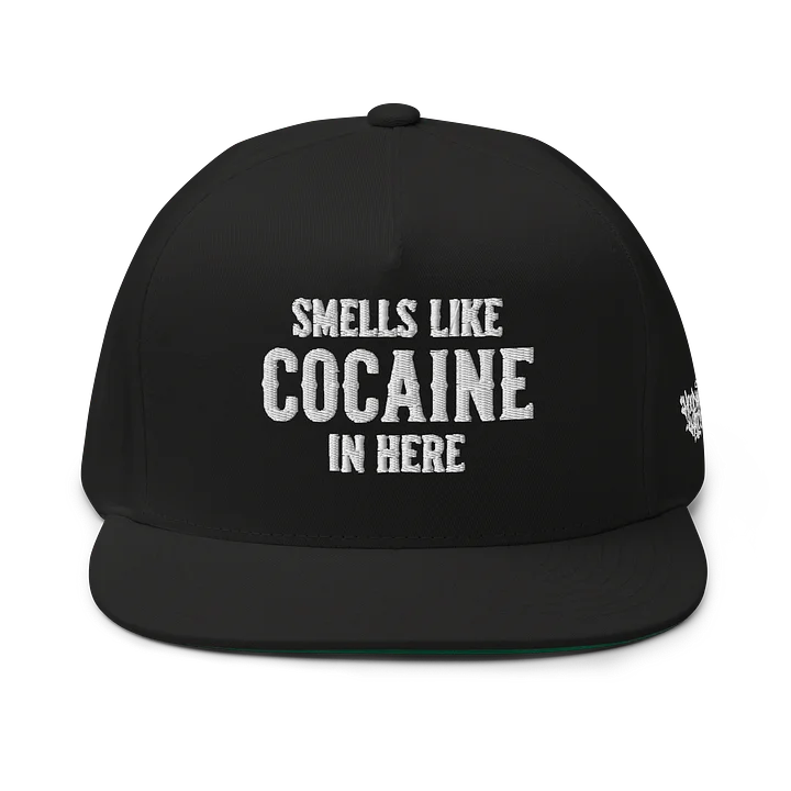 SMELLS LIKE COCAINE IN HERE - Embroidered SnapBack product image (1)