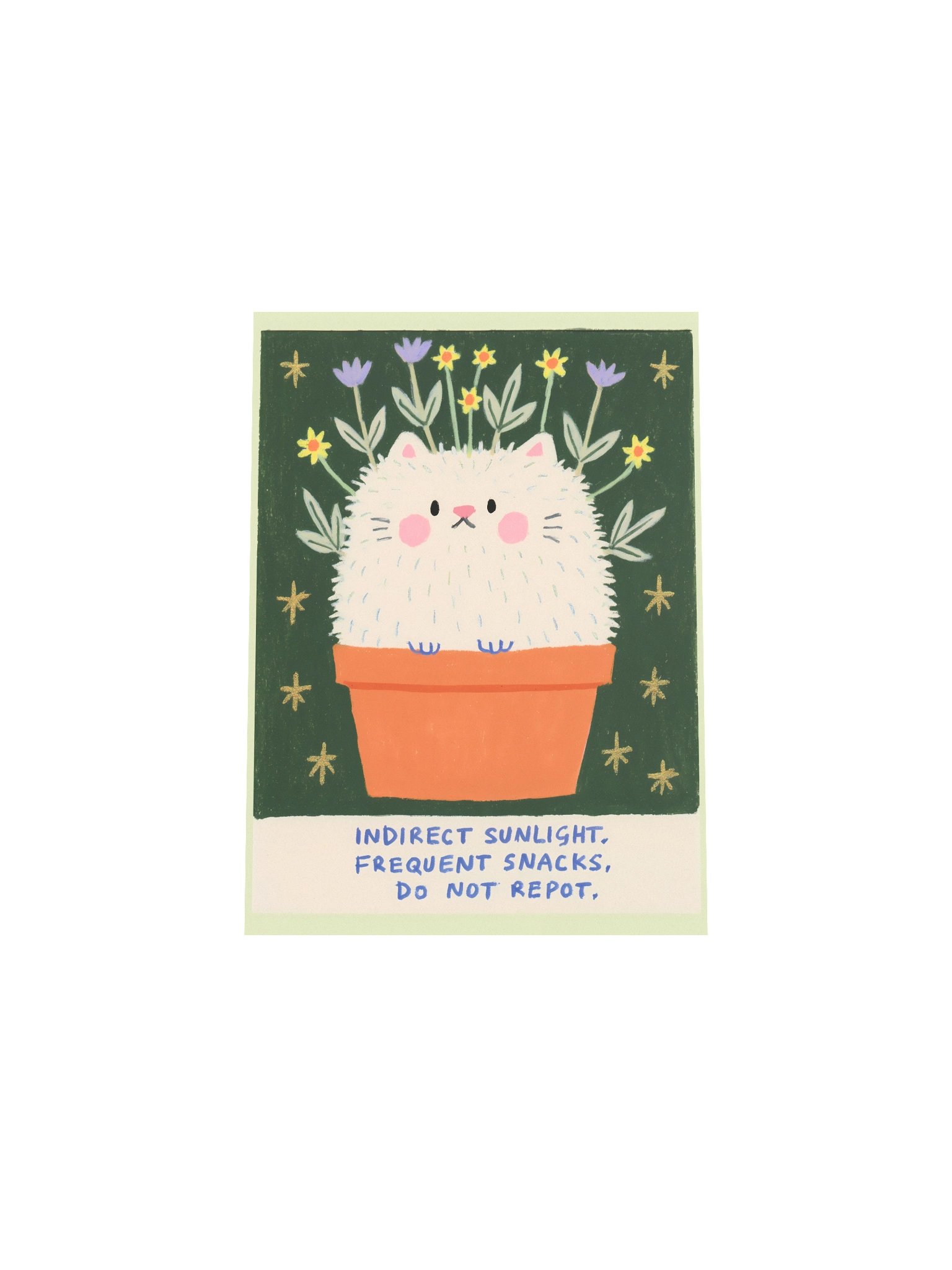 Indirect Sunlight Cat Poster product image (29)