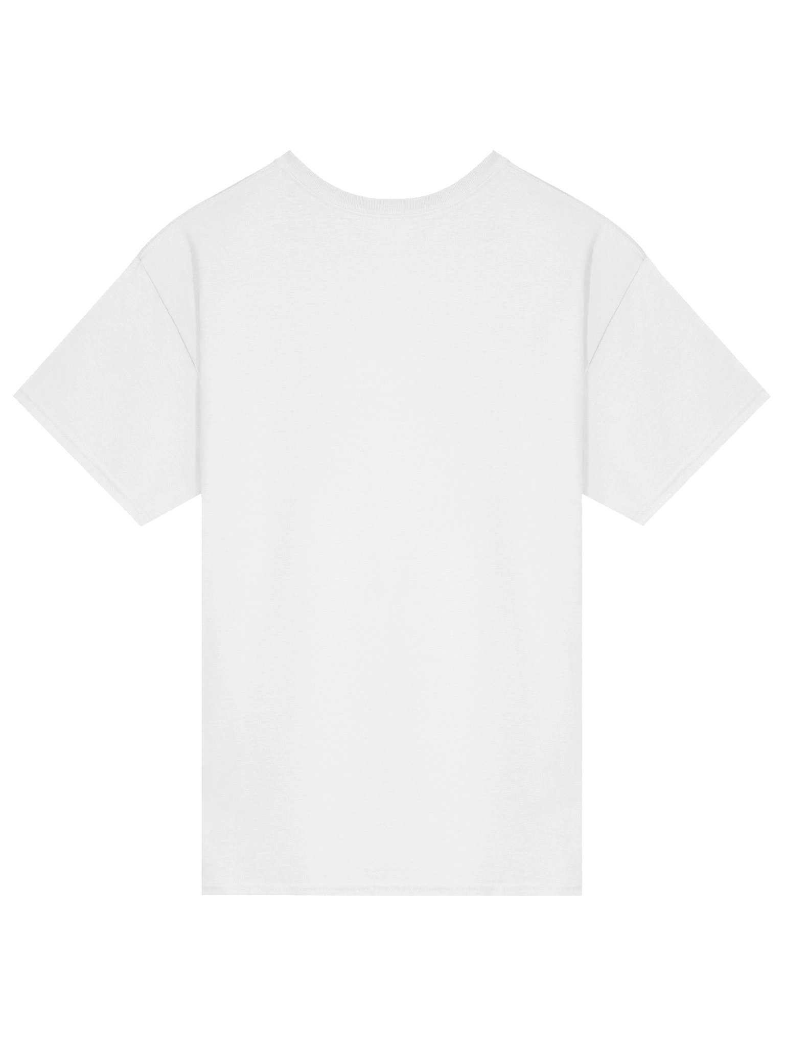 WISH IT. WANT IT. DO IT. (white) — T-SHIRT product image (2)