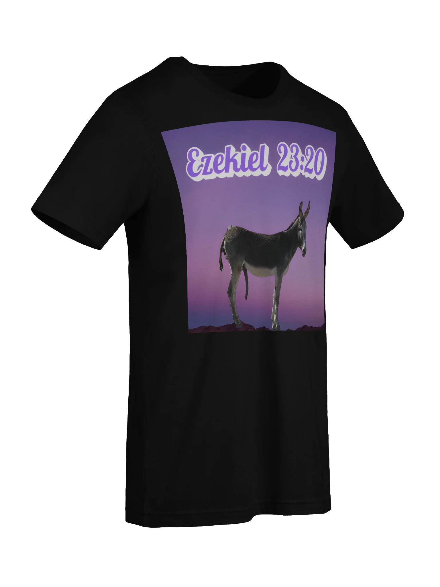 Ezekiel 23:20 Tee Shirt product image (9)