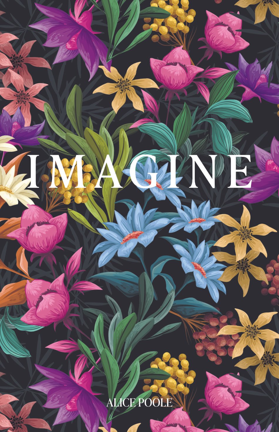 IMAGINE product image (1)