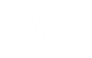 Y.V $aint