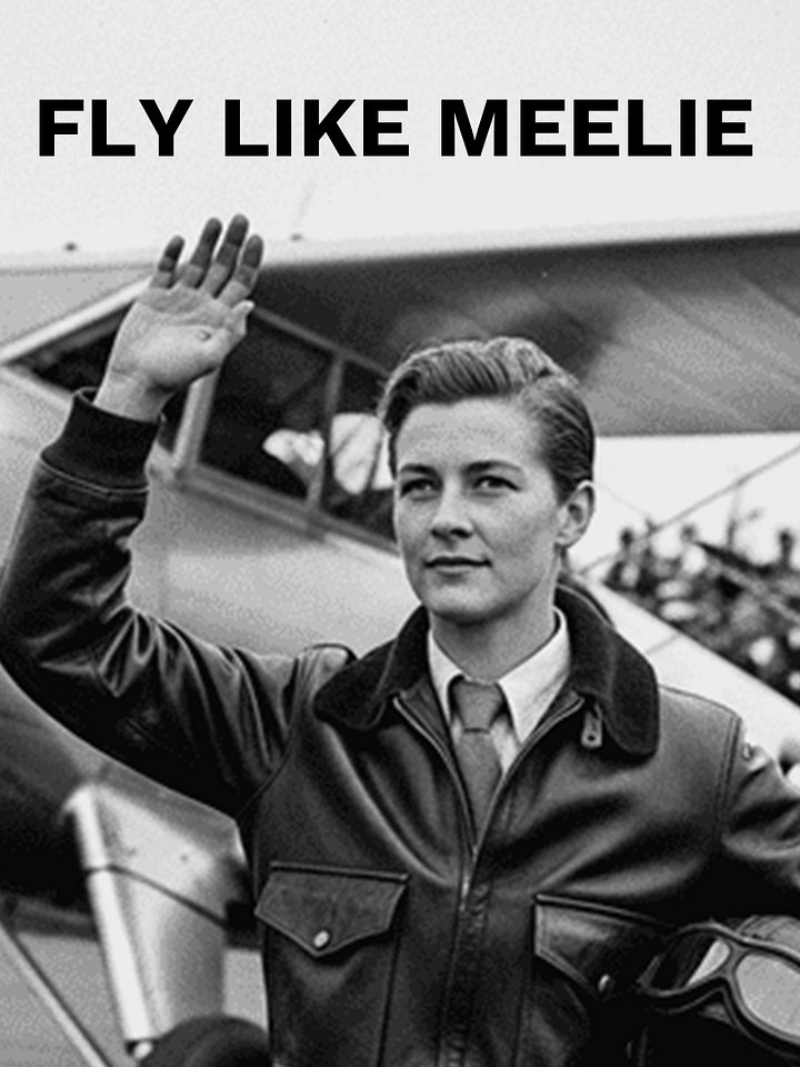 Amelia Earhart - Inspiring Females. product image (1)