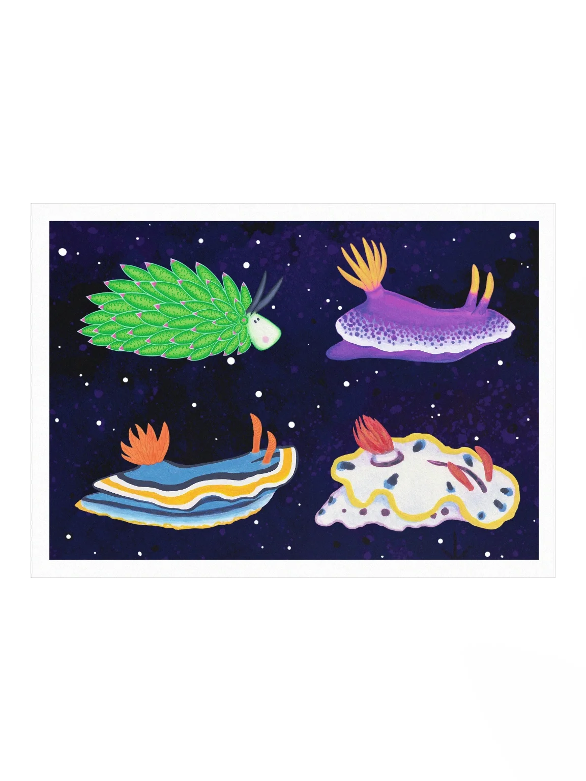 Sea Slugs: Set 2 - Print product image (1)
