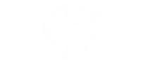 FitMC