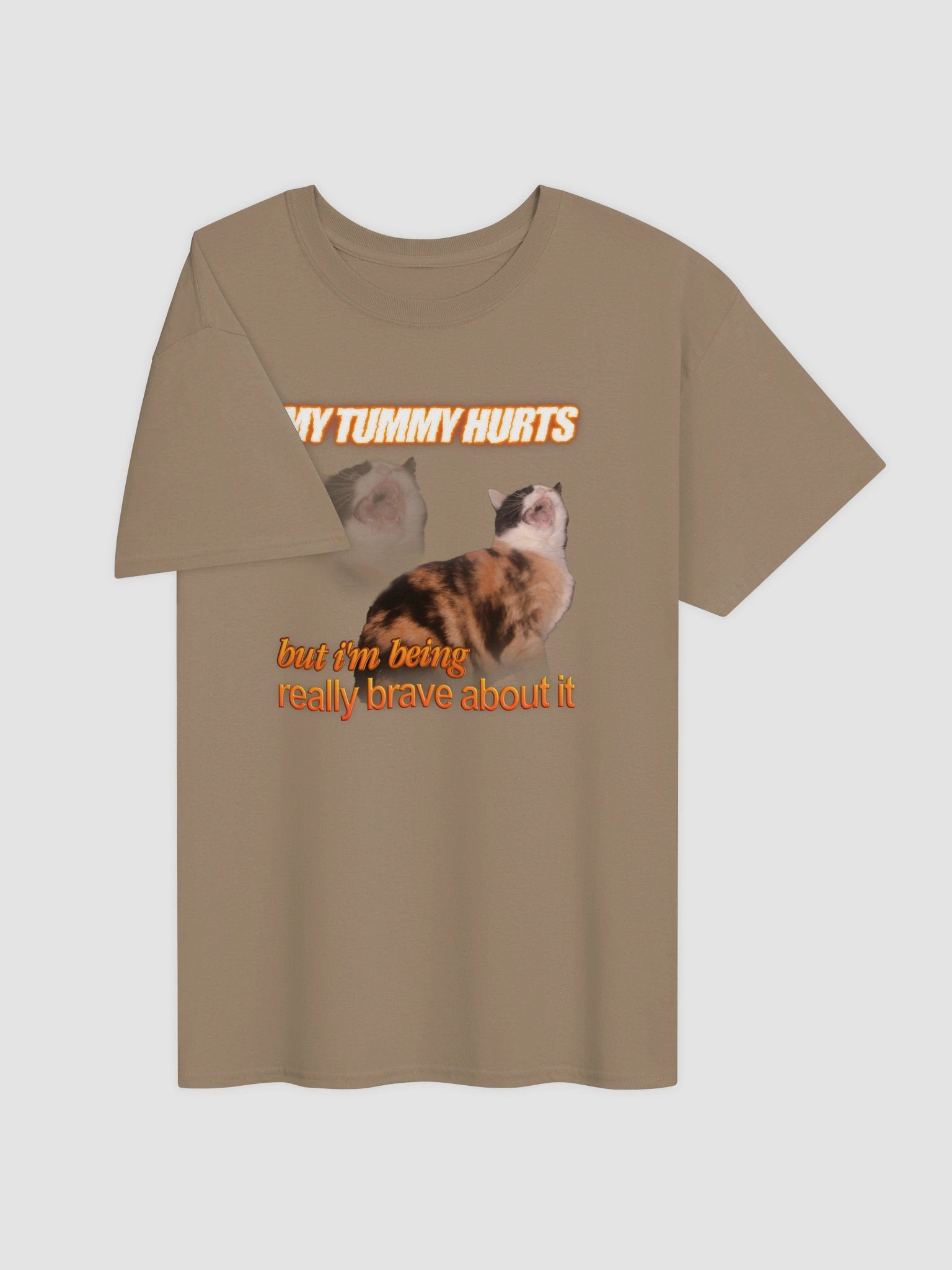 My Tummy Hurts and I'm Bring Really Brave - Cat T-shirt product image (4)
