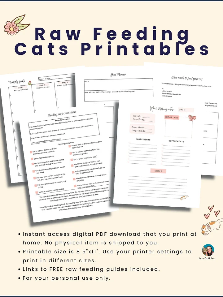 Raw Feeding Cats Printables Digital Download product image (2)