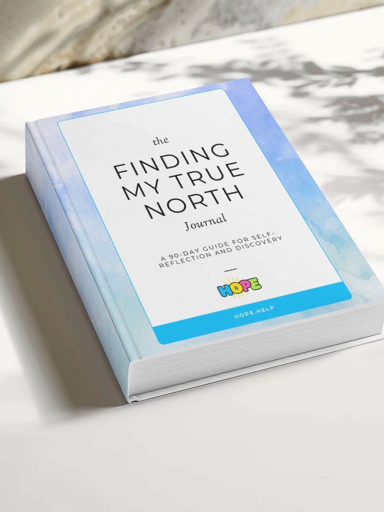 Finding My True North Journal: A 90-Day Guide to Self-Reflection and Discovery product image (3)