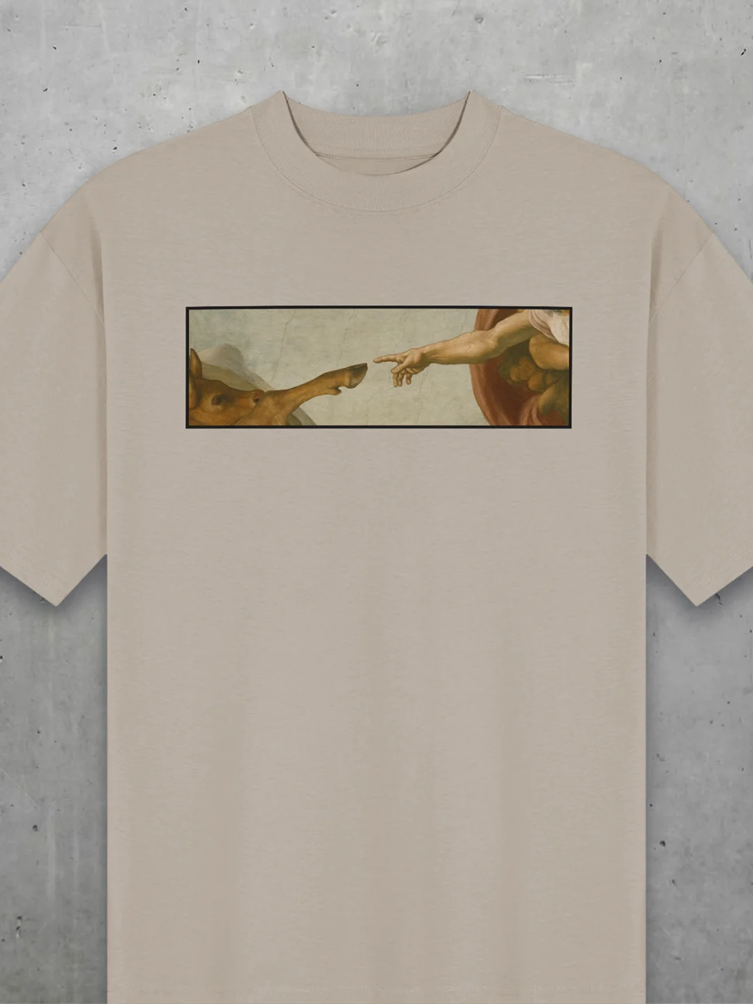 The Creation Of Animals Oversized Tee product image (1)