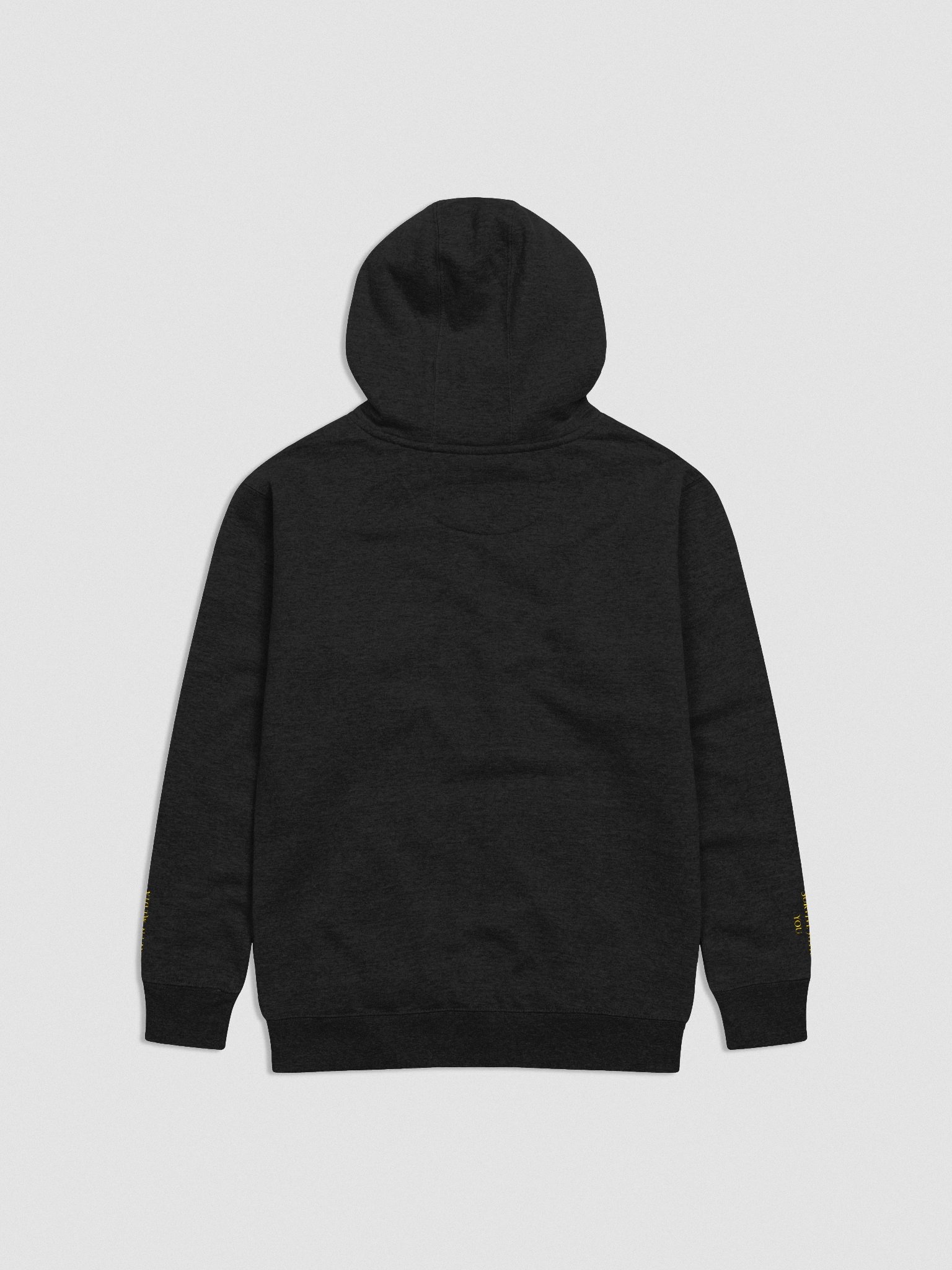 Shieldbearer Hoodie product image (2)