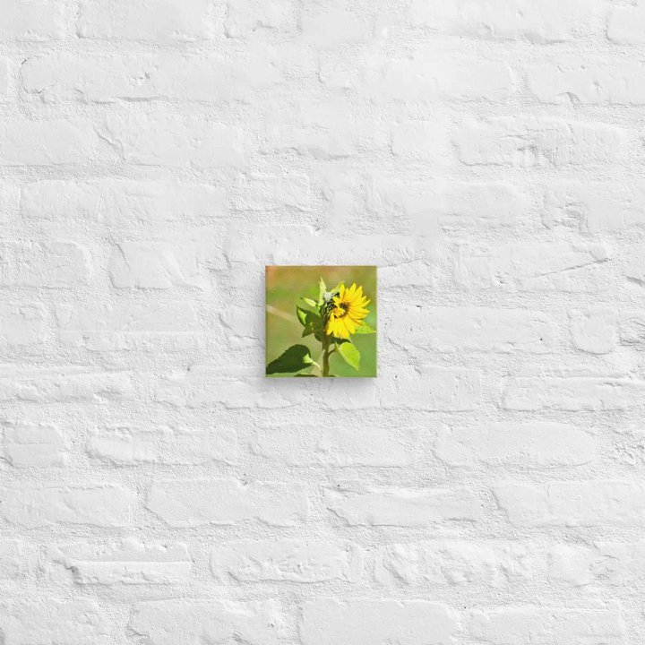 Canvas: Sunflower in early autumn product image (21)