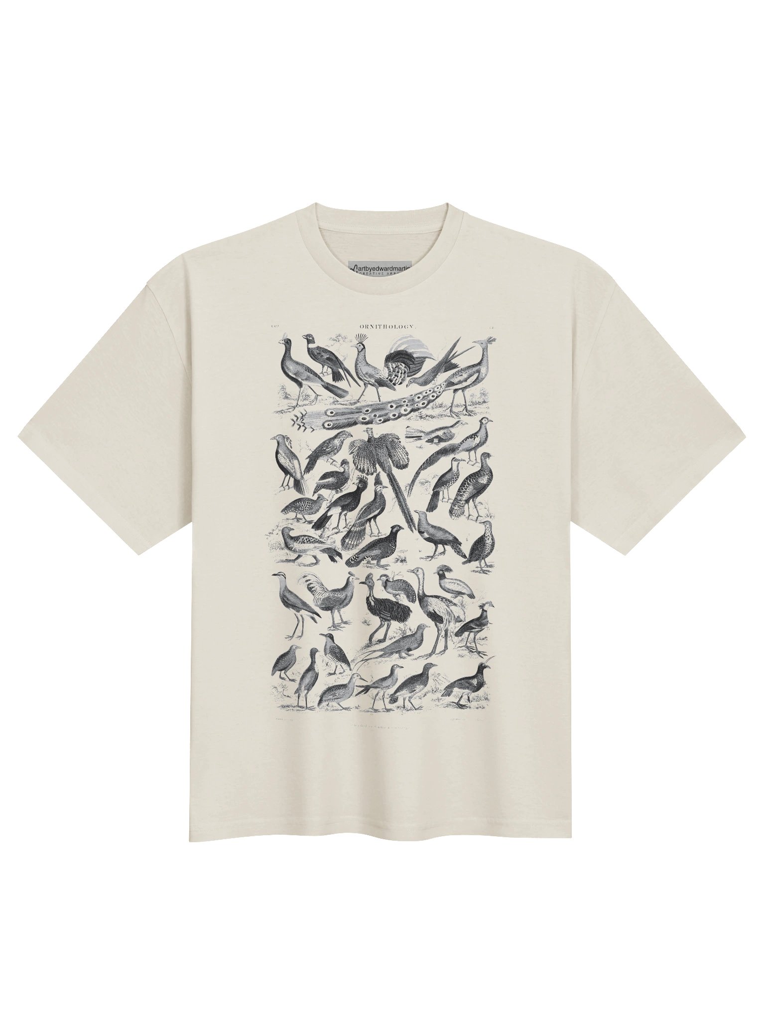 Ornithology Chart Oversized Tee product image (2)