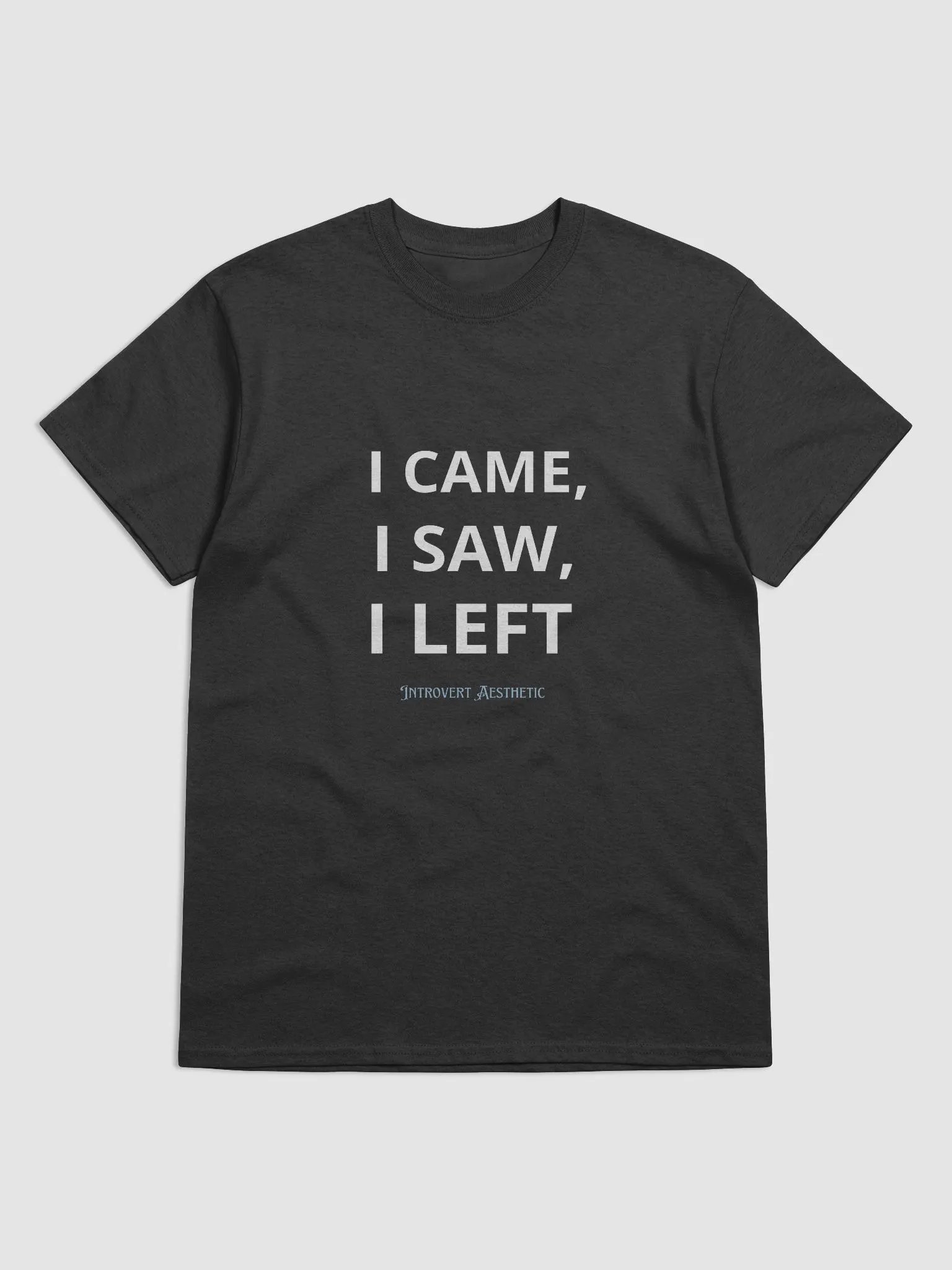 I Came, I Saw, I Left Tee product image (2)