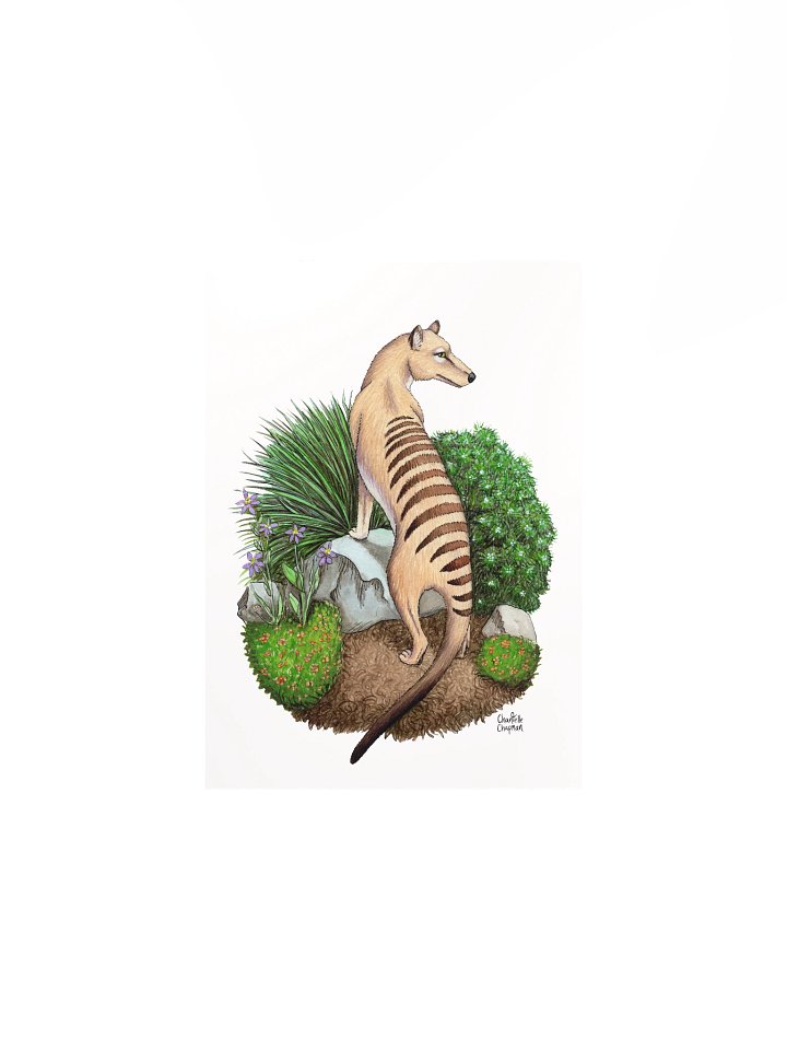 Thylacine - Art Print product image (2)