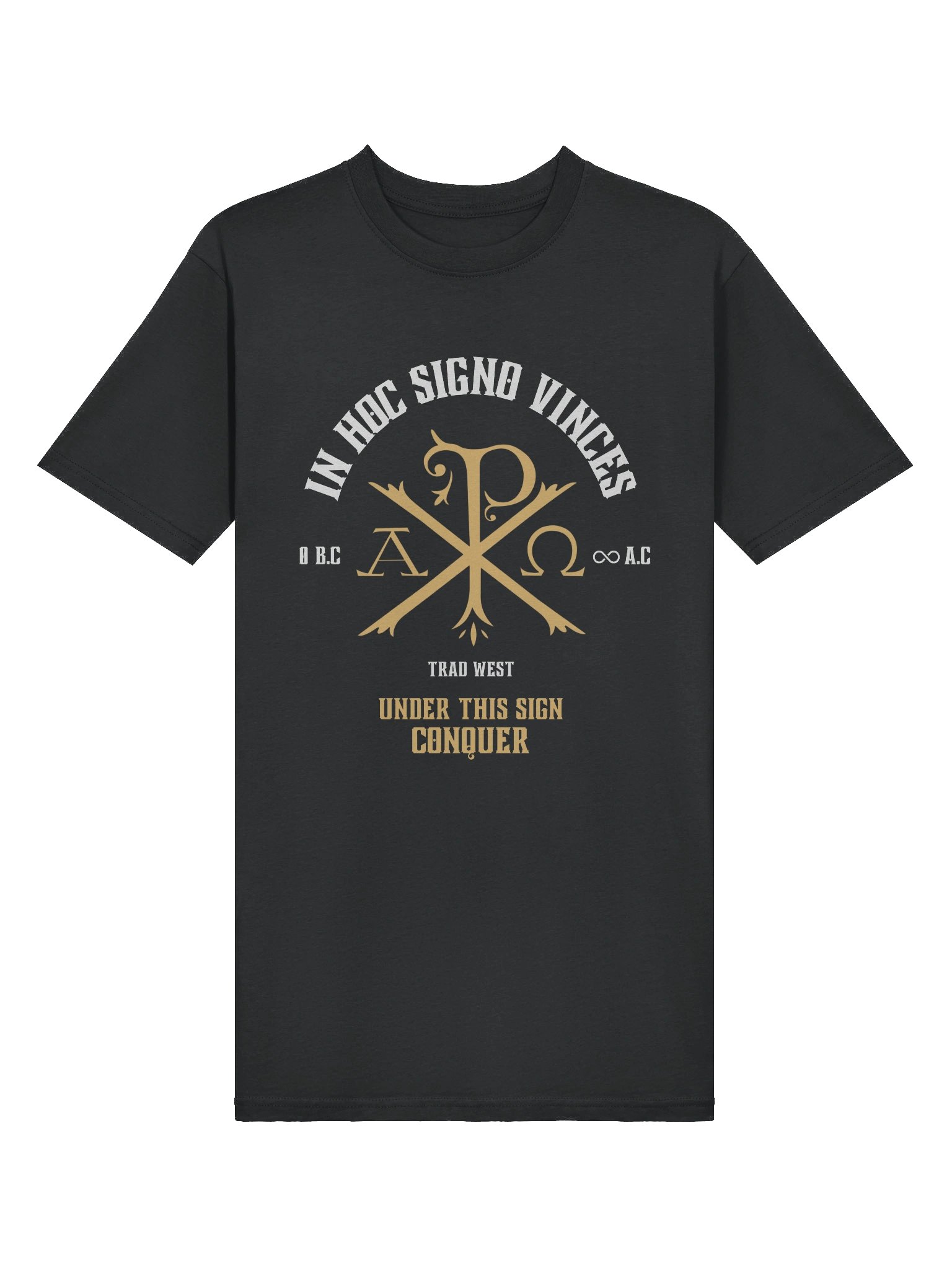 Under this sign conquer Heavy Tee product image (3)