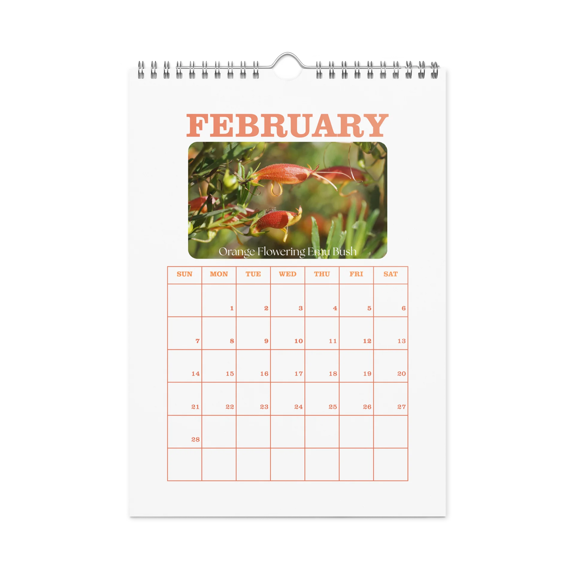 2027 - PRIDE WITH AUSTRALIAN NATIVE FLORA - Wall Calendar product image (5)