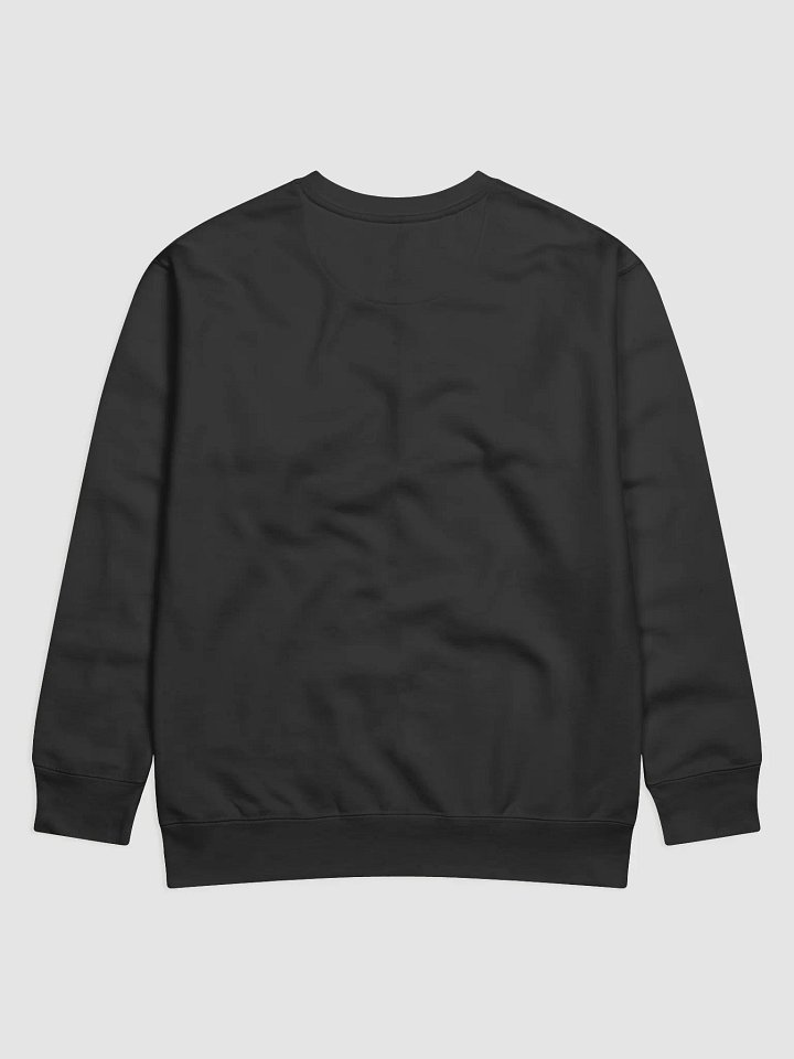 Dark REJOICE Premium Sweatshirt product image (6)