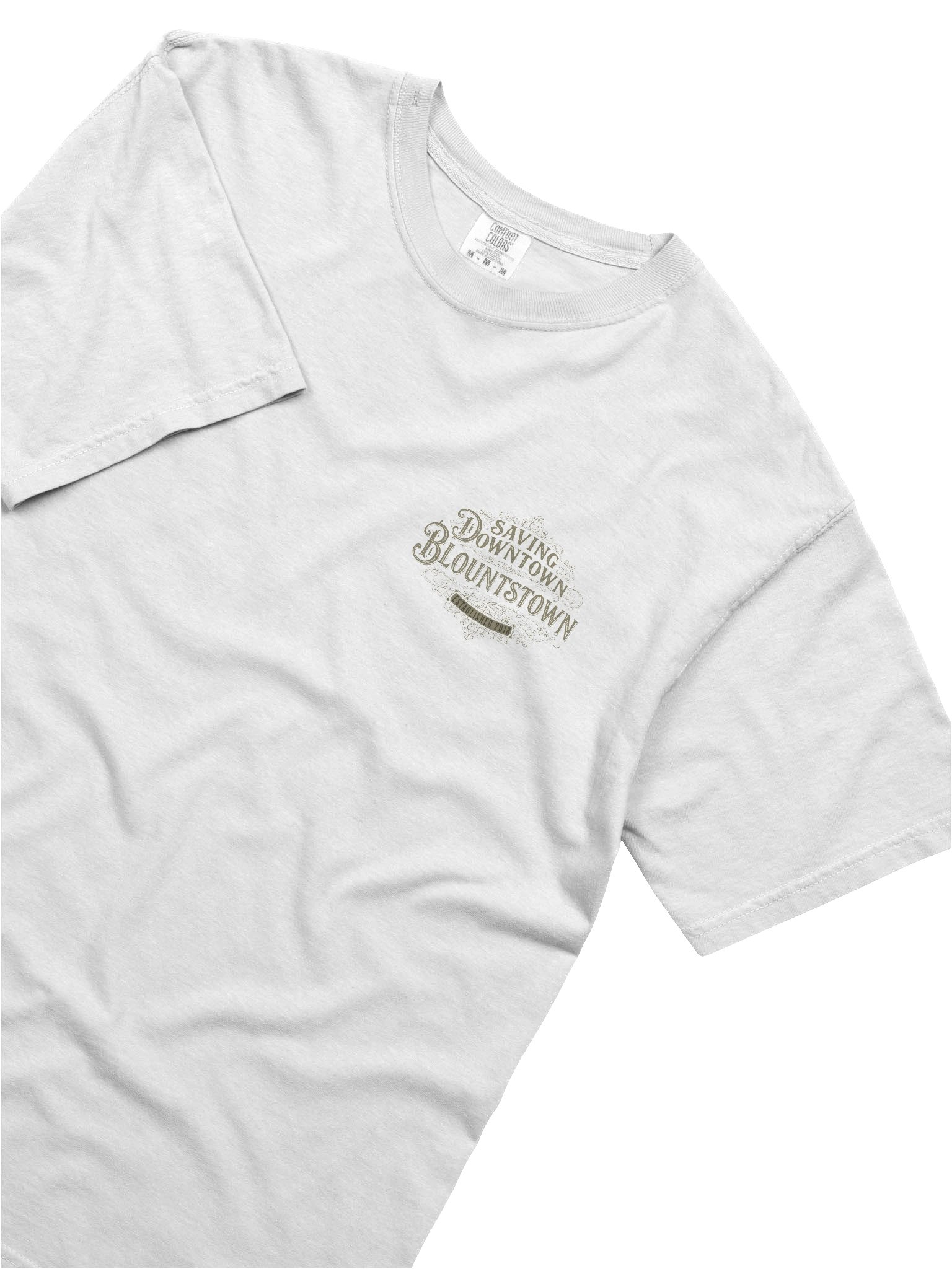 Saving Downtown Blountstown Comfort Colors Tee product image (15)