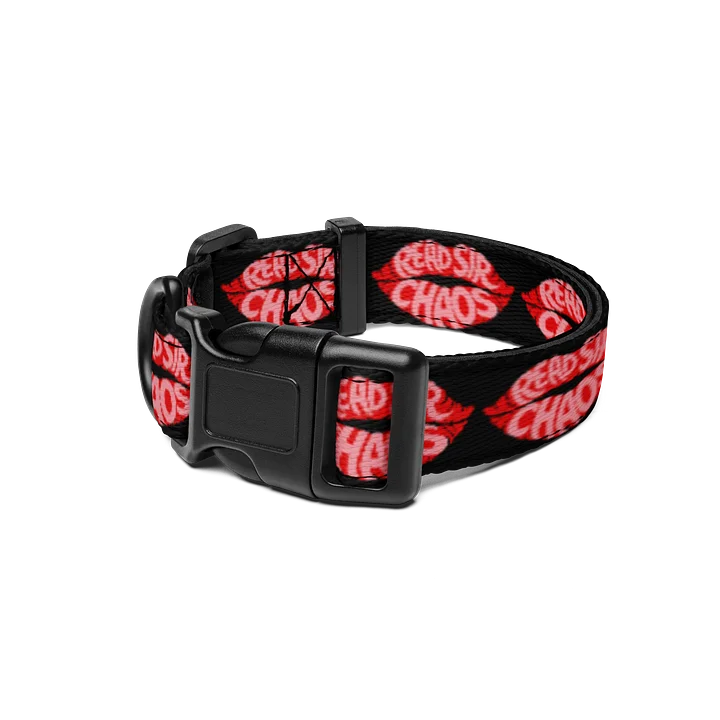 Read My Lips Pet Collar product image (1)