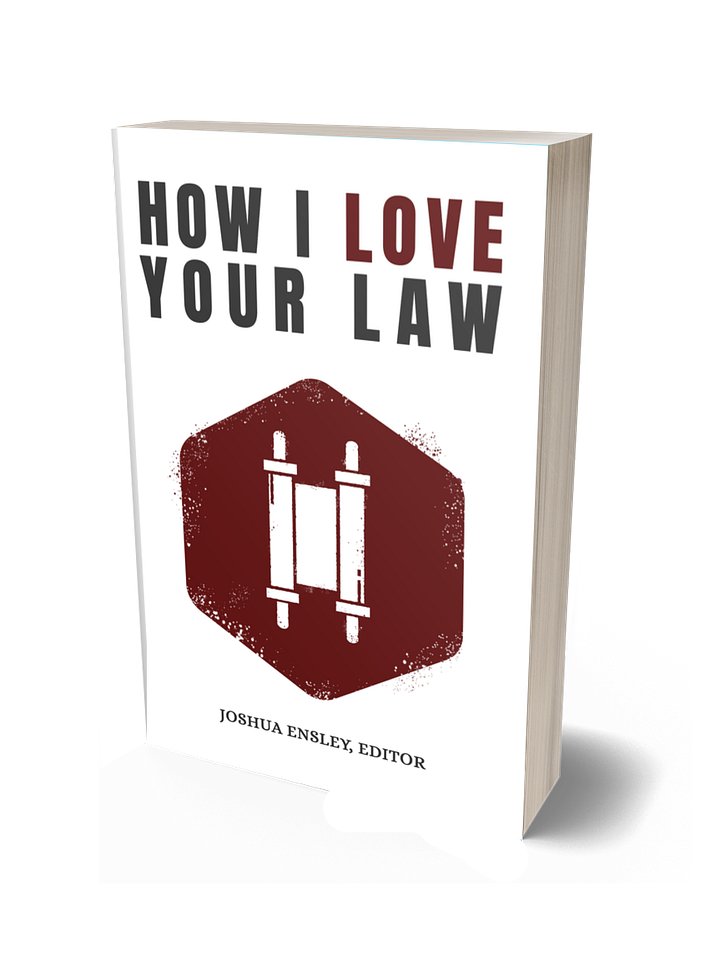 How I Love Your Law: Meditations on the Weekly Torah Portions product image (1)