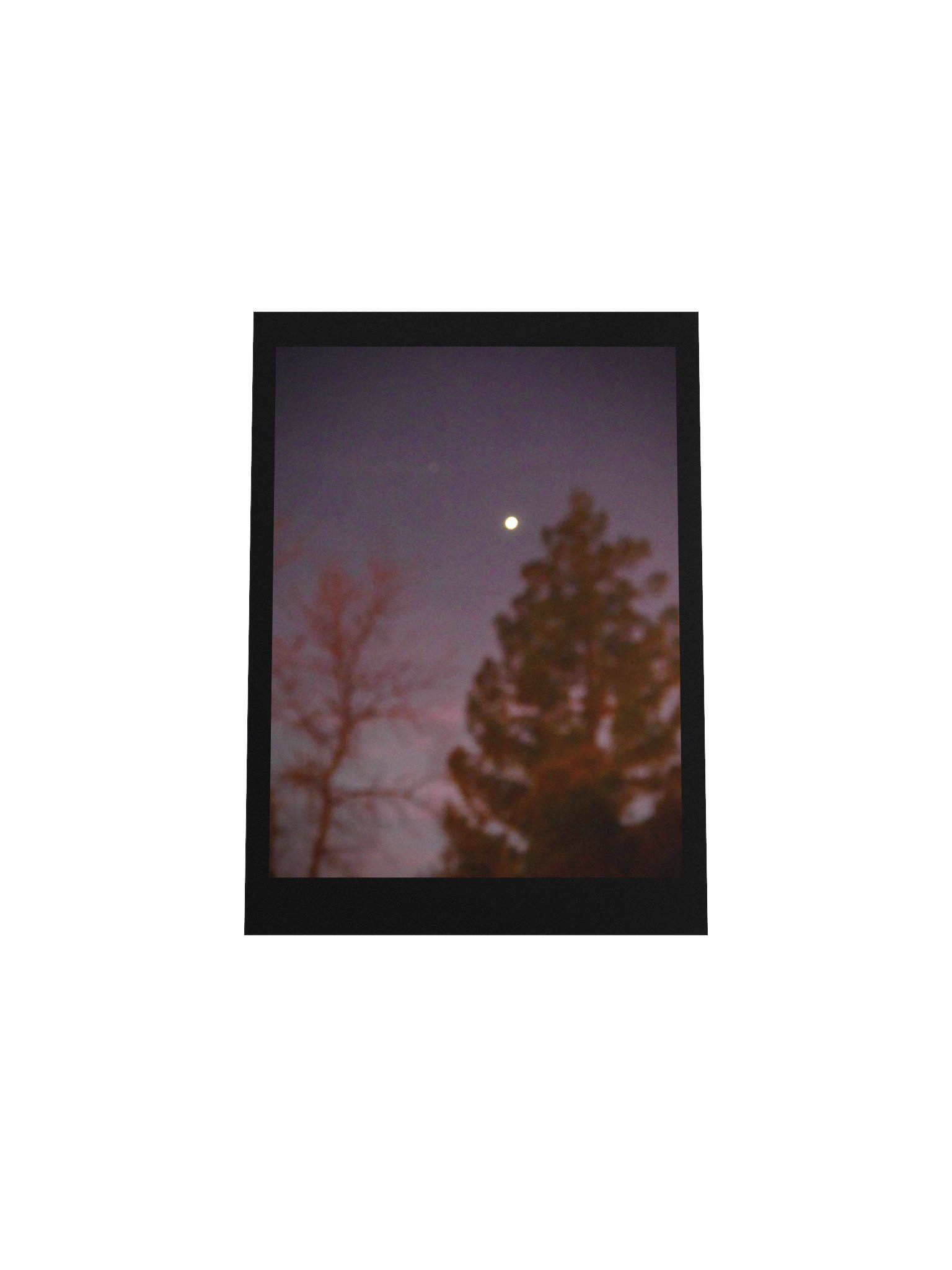 Purple Night product image (7)