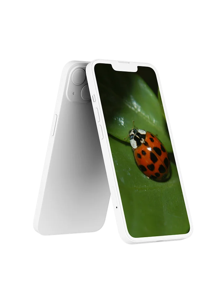 Ladybug Digital Wallpaper Set product image (2)